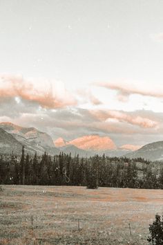 a field with mountains in the background