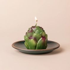 a small candle is lit on top of a green plant in a plate with a pink background