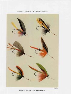 six different types of fishing flies on a white background with the words lake flies above them