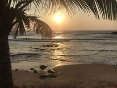 the sun is setting over the ocean with rocks and palm trees in the foreground