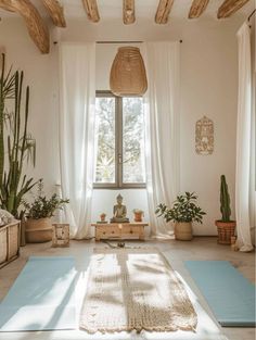 a room that has some plants on the floor and a rug in front of it