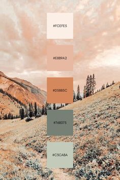 the color palette for this landscape is earth tones