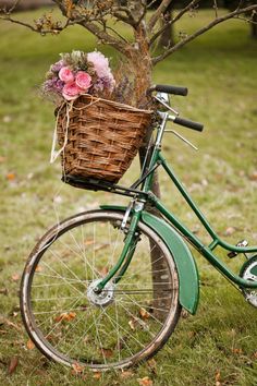 a green bicycle with flowers in the basket parked next to a tree and grass field