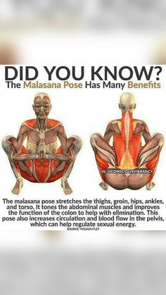 an image of the muscles and their functions in a body diagram with text that reads, did you know?