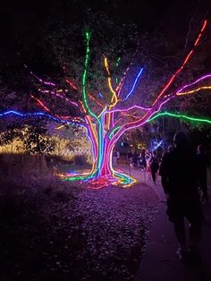 people are walking down the path in front of a tree with colorful lights on it