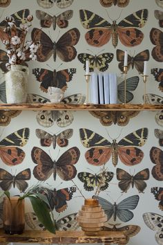 the wallpaper is decorated with butterflies and other decorative items, including bookshelves