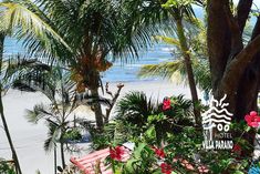 the beach is surrounded by palm trees and flowers