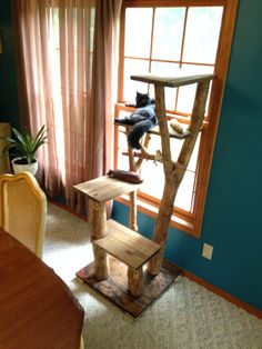 a cat sitting on top of a wooden tree house