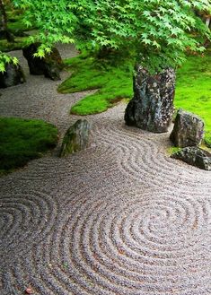 a garden with rocks, grass and trees