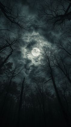 a dark forest filled with lots of trees under a full moon