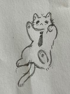 a drawing of a cat sitting on its back