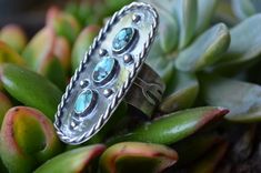 a silver ring with blue stones sitting on top of a plant