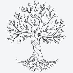 a drawing of a tree with roots