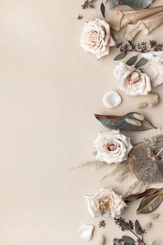 an arrangement of flowers and feathers on a beige background