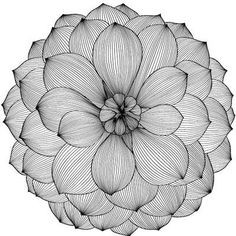 an abstract black and white drawing of a large flower with petals on it's center