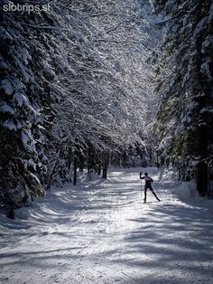 a person on skis going down a snow covered path in the woods with trees