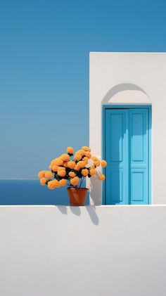 an orange flower in a pot on the side of a building with a blue door