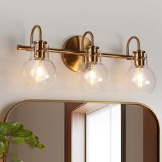 a bathroom vanity light with three bulbs on the side and a potted plant next to it