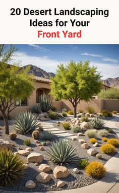 the front yard landscaping guide for desert landscaping