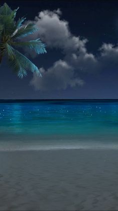 a palm tree sitting on top of a sandy beach under a full moon filled sky