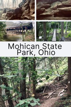 the michigan state park, ohio is shown in this collage with trees and stairs