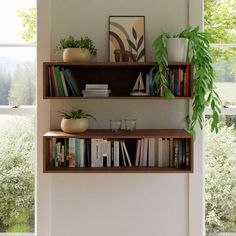 two wooden shelves with books and plants on them