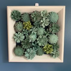 a white frame filled with green succulents on top of a blue wall