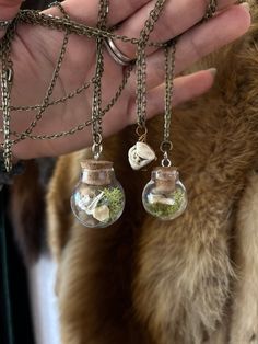 Three jewelry items made from natural wonders: Appalachian Deer Tooth: this amulet is a deer molar found in the northern Appalachians, suspended on an 18 inch chain. Large Bottle: a round glass bottle containing a fish vertebra, coyote toe bone, and reindeer moss, suspended on a 30 inch chain. Smaller bottle: a round glass bottle containing a coyote claw and reindeer moss, suspended on a 30 inch chain. Reindeer Moss, A Deer, Small Bottles, Glass Bottle, Natural Wonders, Glass Bottles, Round Glass, Reindeer, Charm Necklace