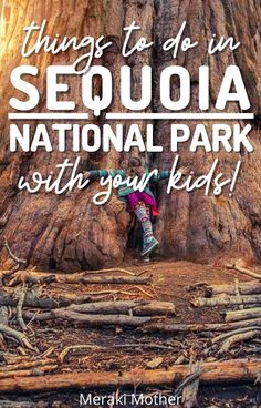 a tree with the words things to do in sequia national park with your kids