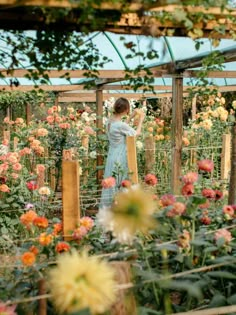 a woman standing in a garden surrounded by flowers