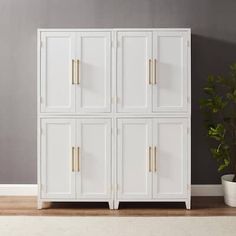 a white cabinet with four doors and two plants on the floor in front of it