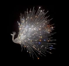 a large bird with lots of lights on it's back feathers and tail are spread out