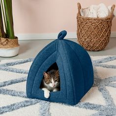 a cat sitting in a blue ball shaped bed on the floor next to a potted plant