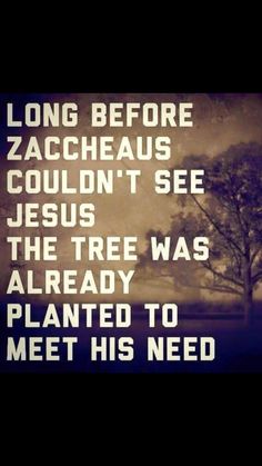 the tree was already planted to meet his need and he will be able to heal