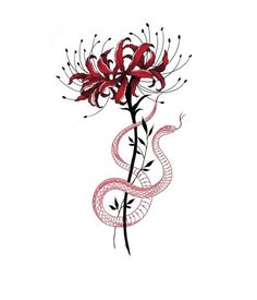 Lily Tattoo Design, Mystical Tattoos, Magic Runes, Small Girly Tattoos, Red Spider Lily, Dragon Tattoo For Women, Clever Tattoos, Doodle Tattoo, Greek Tattoos