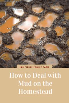 the cover of how to deal with mud on the homesead by jeff price family farm