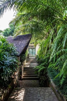 an outdoor walkway surrounded by trees and greenery with steps leading up to the house