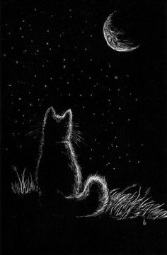 a black and white drawing of a cat looking up at the stars