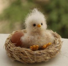 a small white bird sitting in a nest with an egg