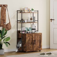 a room with a shelf, potted plant and other items on the floor in front of it