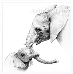 an elephant and its baby are shown in a white frame