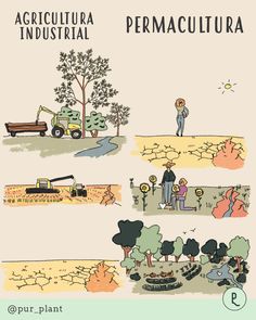 an illustrated poster showing different types of trees and people in the park, with words describing how