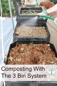 a woman is watering plants in a bin with the words composting with the 3 bin system