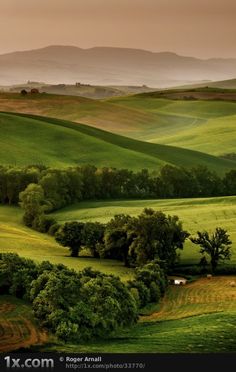 the rolling hills are covered in green grass