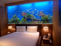 a bedroom with a large fish tank in the wall above it and two lamps on either side of the bed