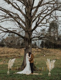 a bride and groom standing in front of a large tree with white feathers on it