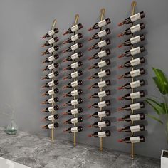 there is a wine rack with many bottles on it and a plant in the corner