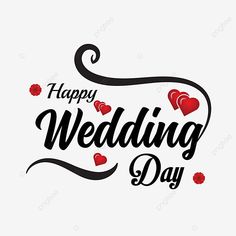 happy wedding day with hearts on the white background, logo, illustration png and psd