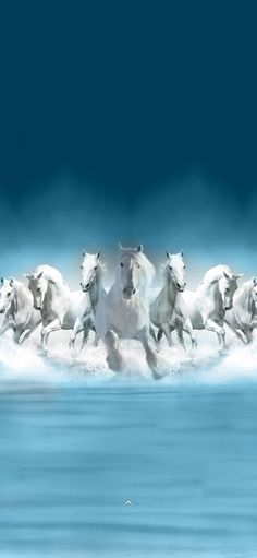 a group of white horses running in the water