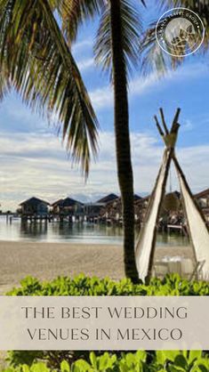 the best wedding venues in mexico cover image with palm trees and beachfronts behind them